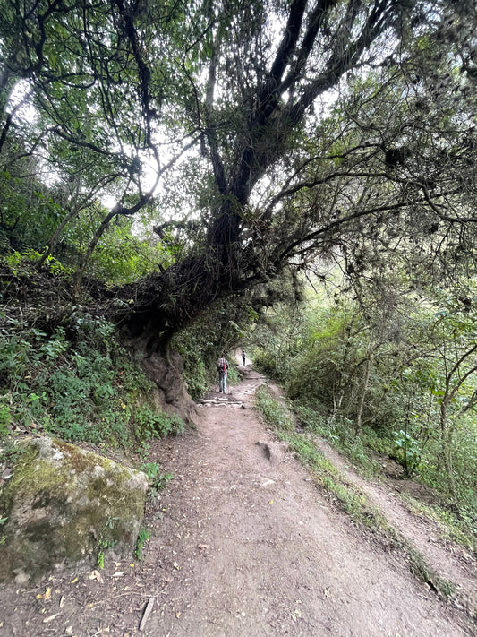 Lost and Found on the Inca Trail: A Solo Journey to Machu Picchu